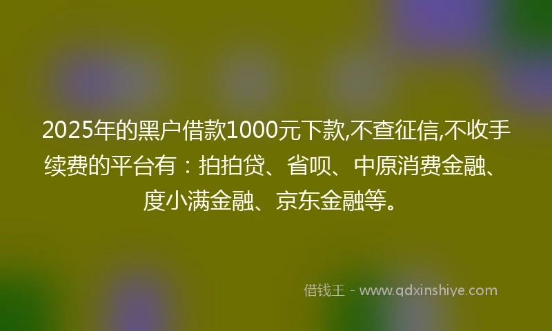 2025年的黑户借款1000元下款,不查征信,不收手续费的平台有：拍拍贷、省呗、中原消费金融、度小满金融、京东金融等。