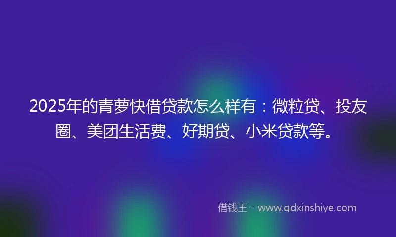 2025年的青萝快借贷款怎么样有：微粒贷、投友圈、美团生活费、好期贷、小米贷款等。