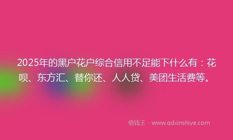 2025年的黑户花户综合信用不足能下什么有：花呗、东方汇、替你还、人人贷、美团生活费等。