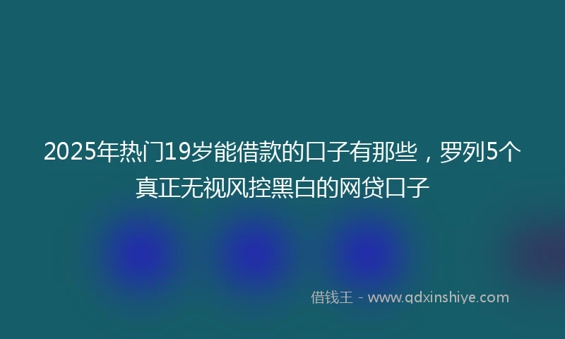 2025年热门19岁能借款的口子有那些,罗列5个真正无视风控黑白的网贷口子