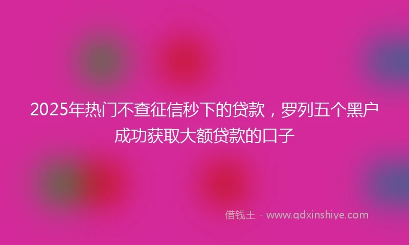 2025年热门不查征信秒下的贷款，罗列五个黑户成功获取大额贷款的口子