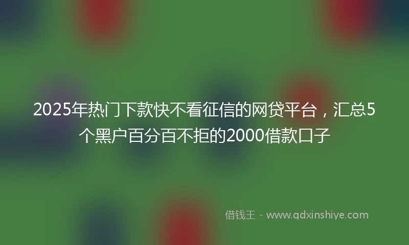 2025年热门下款快不看征信的网贷平台，汇总5个黑户百分百不拒的2000借款口子