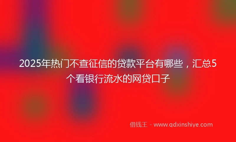 2025年热门不查征信的贷款平台有哪些,汇总5个看银行流水的网贷口子