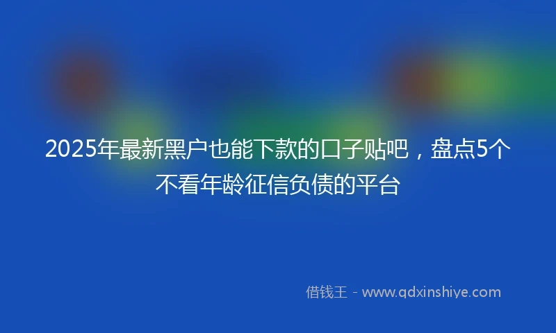 2025年最新黑户也能下款的口子贴吧，盘点5个不看年龄征信负债的平台