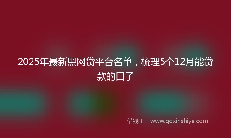 2025年最新黑网贷平台名单,梳理5个12月能贷款的口子