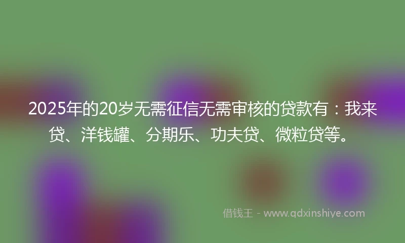 2025年的20岁无需征信无需审核的贷款有:我来贷、洋钱罐、分期乐、功夫贷、微粒贷等。