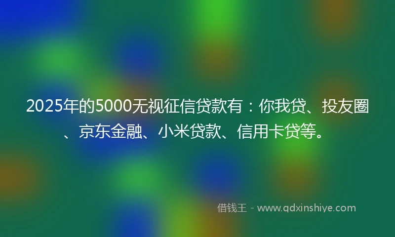 2025年的5000无视征信贷款有:你我贷、投友圈、京东金融、小米贷款、信用卡贷等。