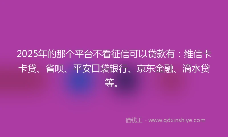2025年的那个平台不看征信可以贷款有：维信卡卡贷、省呗、平安口袋银行、京东金融、滴水贷等。