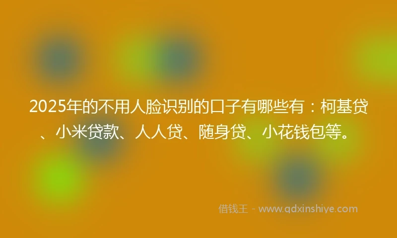 2025年的不用人脸识别的口子有哪些有：柯基贷、小米贷款、人人贷、随身贷、小花钱包等。
