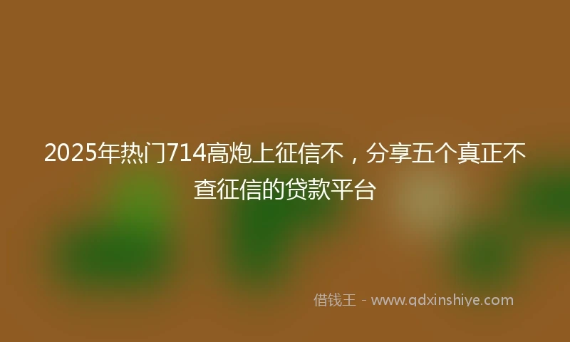 2025年热门714高炮上征信不,分享五个真正不查征信的贷款平台
