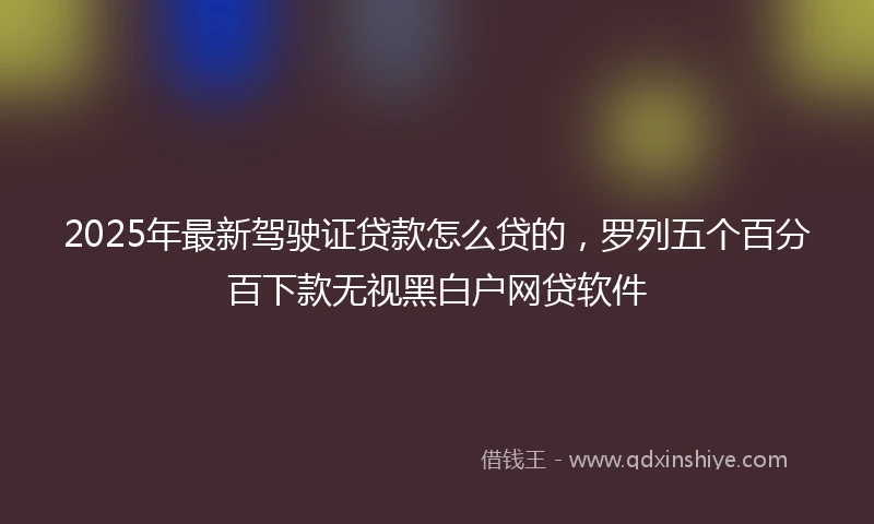 2025年最新驾驶证贷款怎么贷的，罗列五个百分百下款无视黑白户网贷软件