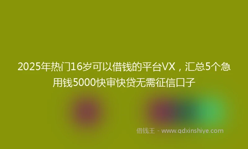 2025年热门16岁可以借钱的平台VX，汇总5个急用钱5000快审快贷无需征信口子