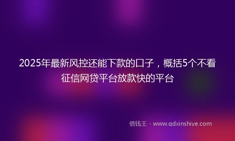 2025年最新风控还能下款的口子，概括5个不看征信网贷平台放款快的平台
