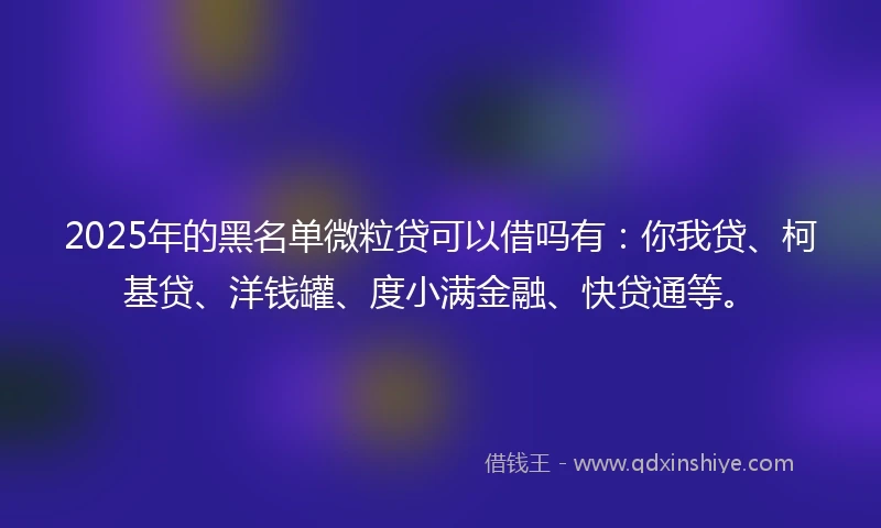 2025年的黑名单微粒贷可以借吗有：你我贷、柯基贷、洋钱罐、度小满金融、快贷通等。