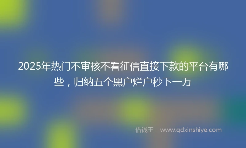 2025年热门不审核不看征信直接下款的平台有哪些，归纳五个黑户烂户秒下一万