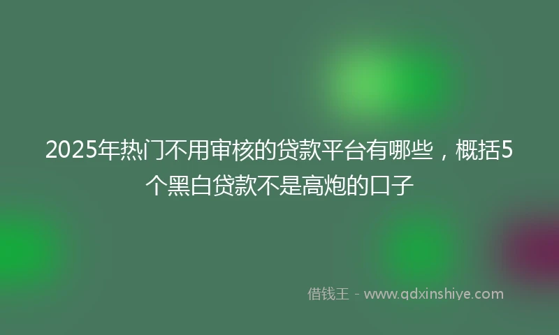 2025年热门不用审核的贷款平台有哪些,概括5个黑白贷款不是高炮的口子