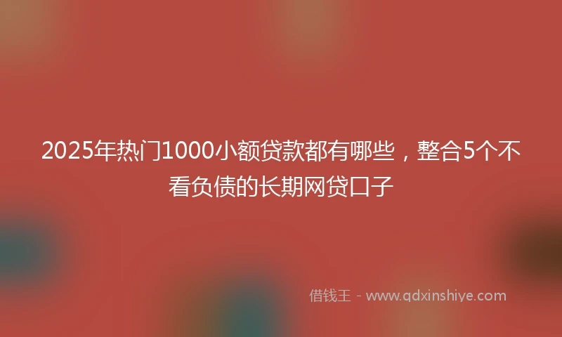 2025年热门1000小额贷款都有哪些,整合5个不看负债的长期网贷口子