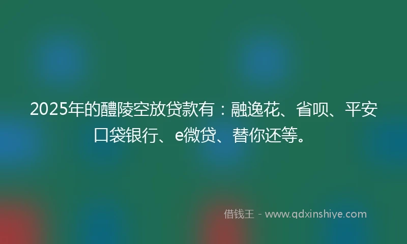 2025年的醴陵空放贷款有：融逸花、省呗、平安口袋银行、e微贷、替你还等。