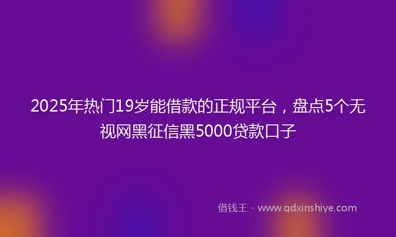 2025年热门19岁能借款的正规平台，盘点5个无视网黑征信黑5000贷款口子
