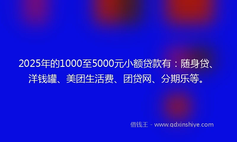 2025年的1000至5000元小额贷款有：随身贷、洋钱罐、美团生活费、团贷网、分期乐等。