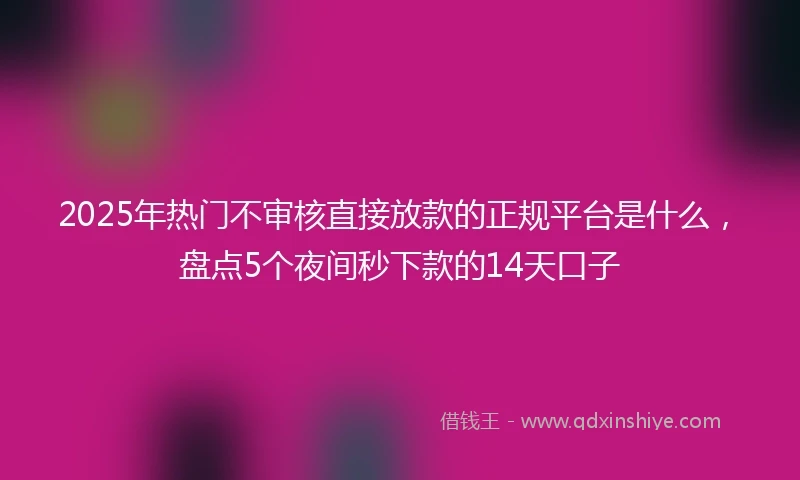 2025年热门不审核直接放款的正规平台是什么，盘点5个夜间秒下款的14天口子