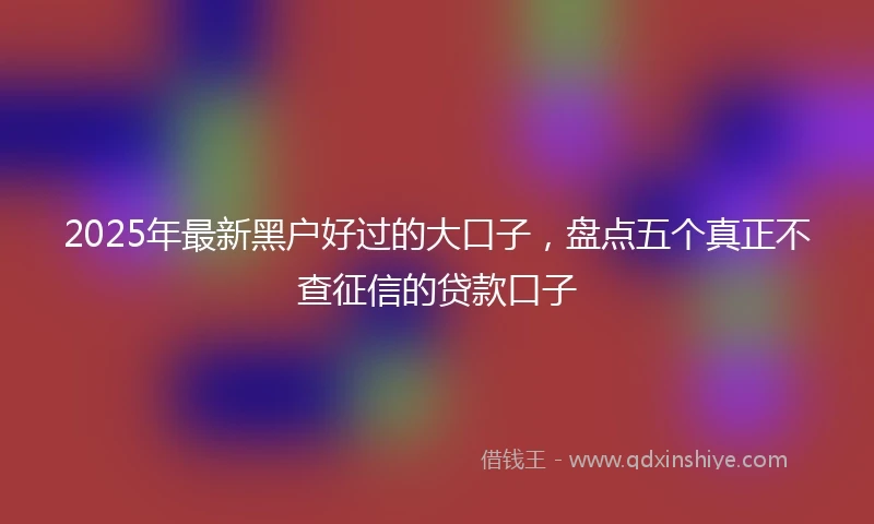 2025年最新黑户好过的大口子,盘点五个真正不查征信的贷款口子
