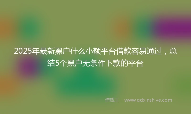 2025年最新黑户什么小额平台借款容易通过，总结5个黑户无条件下款的平台