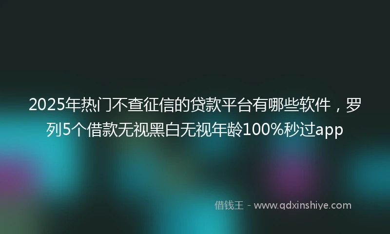 2025年热门不查征信的贷款平台有哪些软件，罗列5个借款无视黑白无视年龄100%秒过app