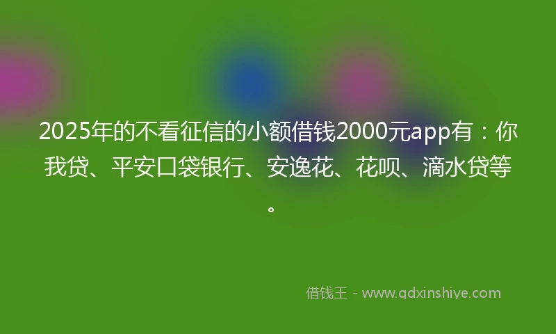 2025年的不看征信的小额借钱2000元app有：你我贷、平安口袋银行、安逸花、花呗、滴水贷等。