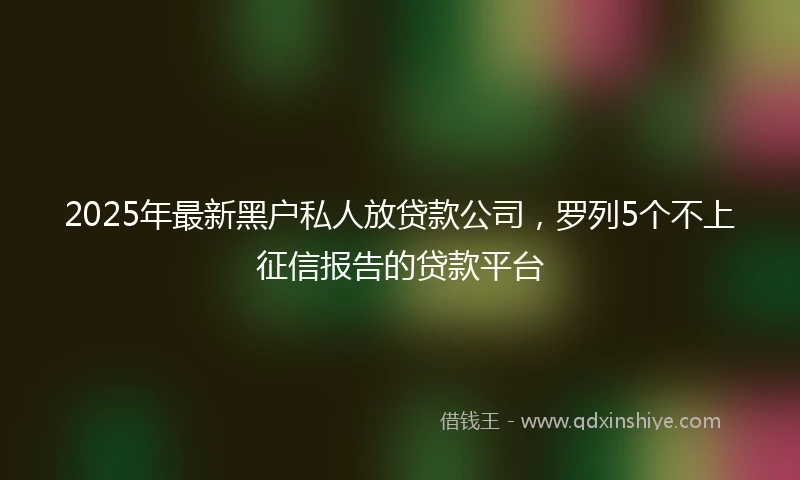 2025年最新黑户私人放贷款公司，罗列5个不上征信报告的贷款平台