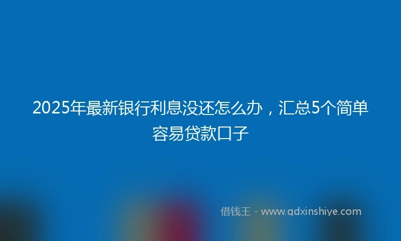 2025年最新银行利息没还怎么办，汇总5个简单容易贷款口子