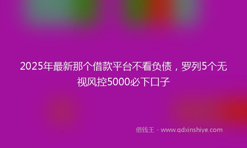 2025年最新那个借款平台不看负债，罗列5个无视风控5000必下口子