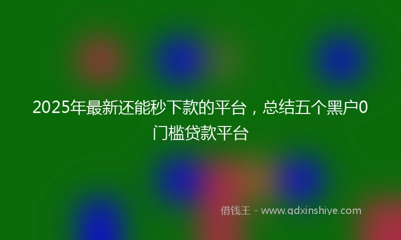 2025年最新还能秒下款的平台,总结五个黑户0门槛贷款平台
