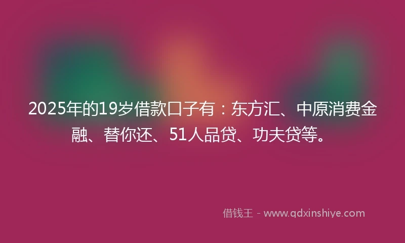 2025年的19岁借款口子有：东方汇、中原消费金融、替你还、51人品贷、功夫贷等。