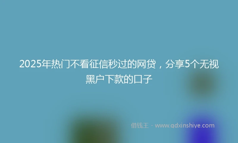 2025年热门不看征信秒过的网贷，分享5个无视黑户下款的口子