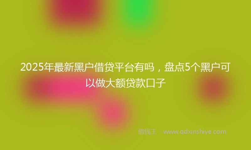 2025年最新黑户借贷平台有吗，盘点5个黑户可以做大额贷款口子