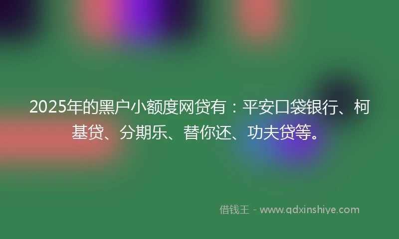 2025年的黑户小额度网贷有:平安口袋银行、柯基贷、分期乐、替你还、功夫贷等。