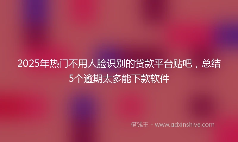 2025年热门不用人脸识别的贷款平台贴吧，总结5个逾期太多能下款软件
