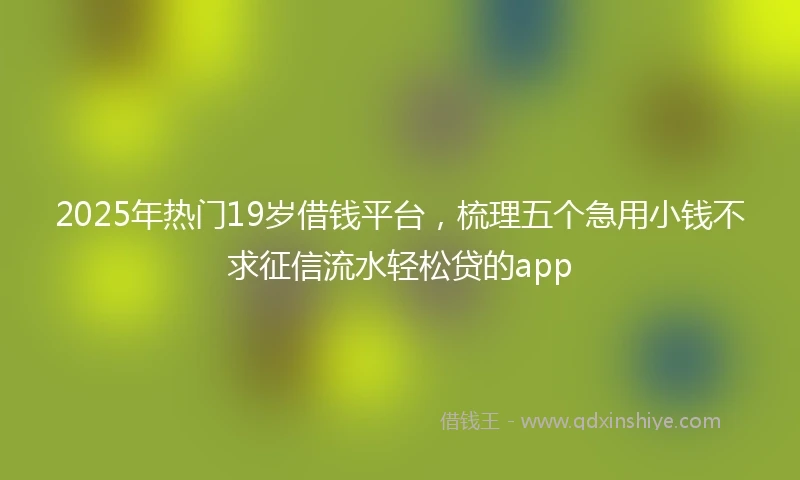 2025年热门19岁借钱平台，梳理五个急用小钱不求征信流水轻松贷的app