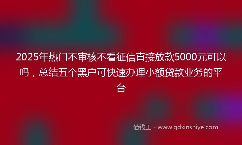 2025年热门不审核不看征信直接放款5000元可以吗，总结五个黑户可快速办理小额贷款业务的平台