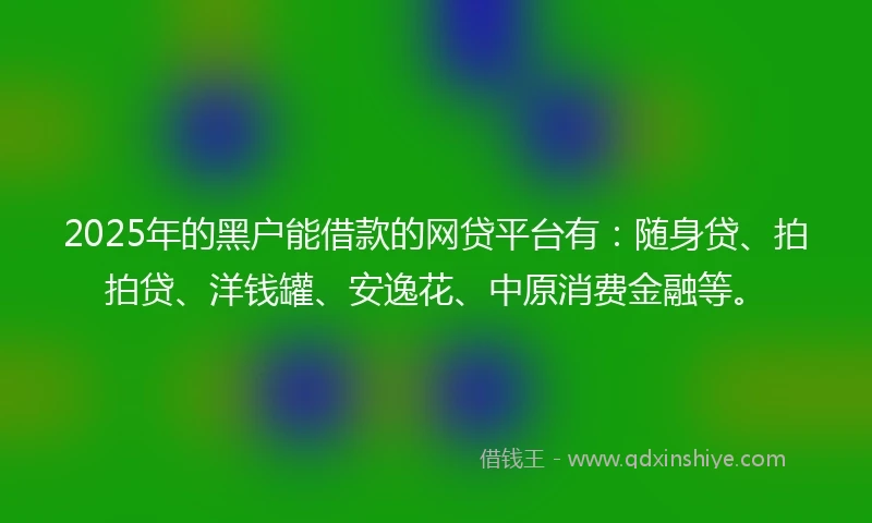 2025年的黑户能借款的网贷平台有：随身贷、拍拍贷、洋钱罐、安逸花、中原消费金融等。