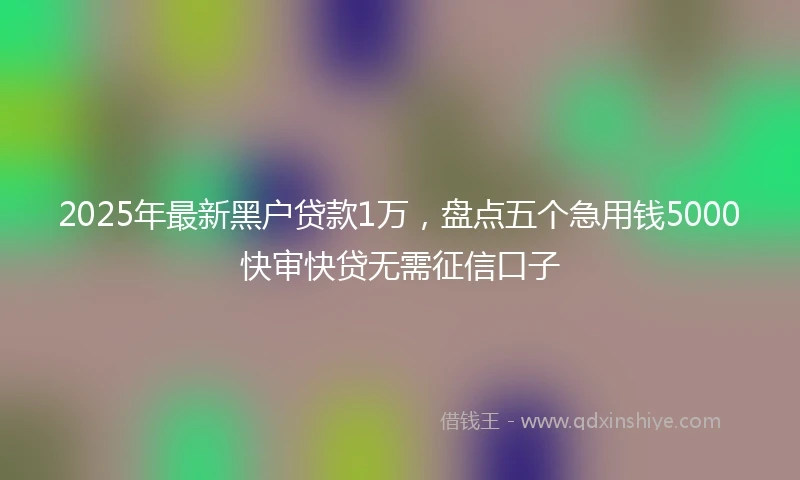 2025年最新黑户贷款1万，盘点五个急用钱5000快审快贷无需征信口子