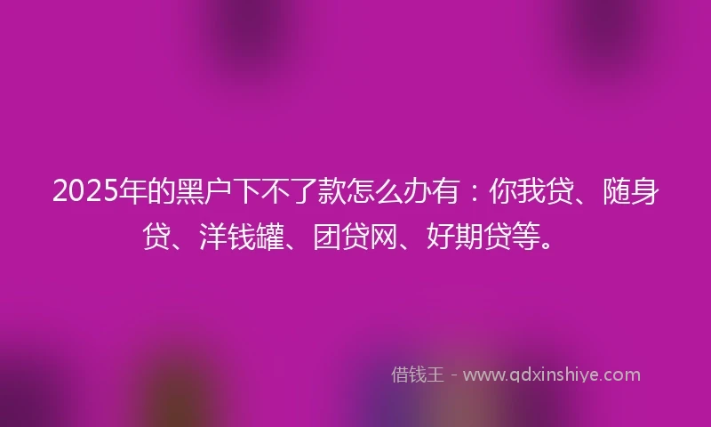 2025年的黑户下不了款怎么办有：你我贷、随身贷、洋钱罐、团贷网、好期贷等。