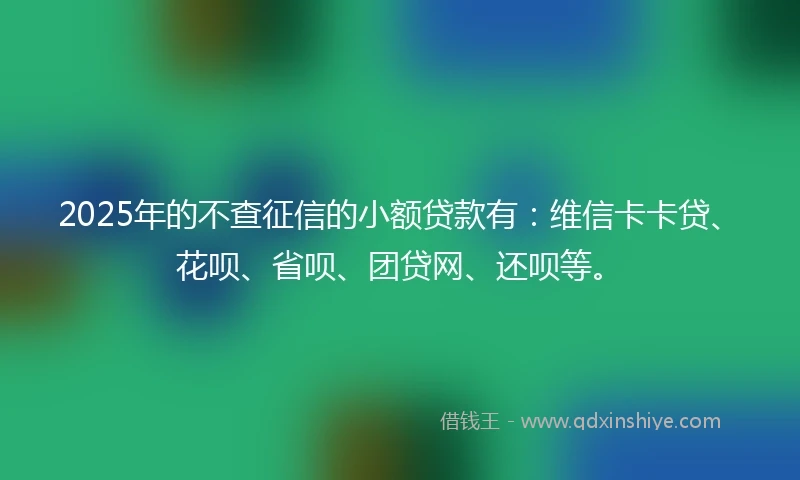 2025年的不查征信的小额贷款有：维信卡卡贷、花呗、省呗、团贷网、还呗等。