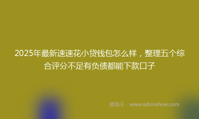 2025年最新速速花小贷钱包怎么样，整理五个综合评分不足有负债都能下款口子