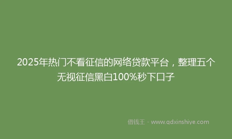 2025年热门不看征信的网络贷款平台,整理五个无视征信黑白100%秒下口子