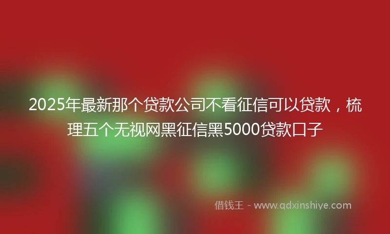 2025年最新那个贷款公司不看征信可以贷款，梳理五个无视网黑征信黑5000贷款口子