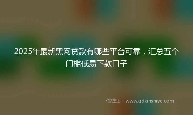2025年最新黑网贷款有哪些平台可靠，汇总五个门槛低易下款口子