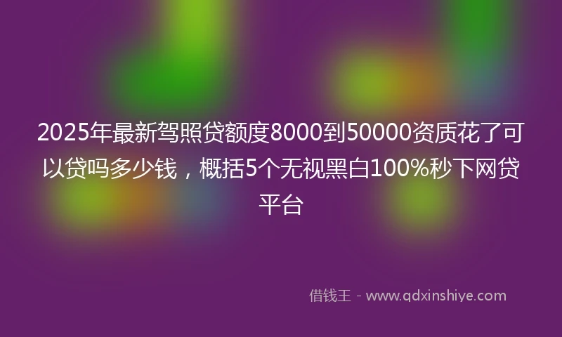 2025年最新驾照贷额度8000到50000资质花了可以贷吗多少钱，概括5个无视黑白100%秒下网贷平台