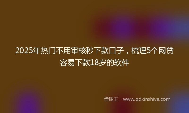 2025年热门不用审核秒下款口子，梳理5个网贷容易下款18岁的软件